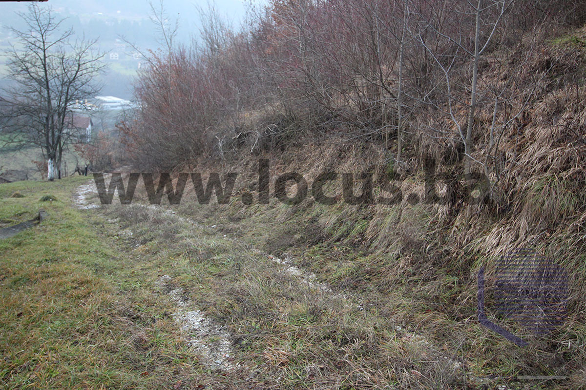 LOCUS: Zemljište površine 38.944m2, Semizovac 5
