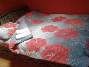Reduced price sale of a property near LIPLJE MONASTERY photo 4