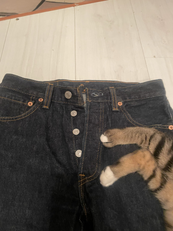 Levis 501