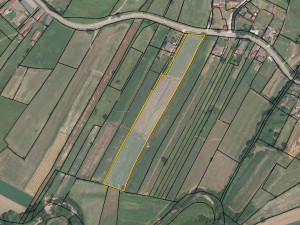 Zemljište Bušletić 10753m2