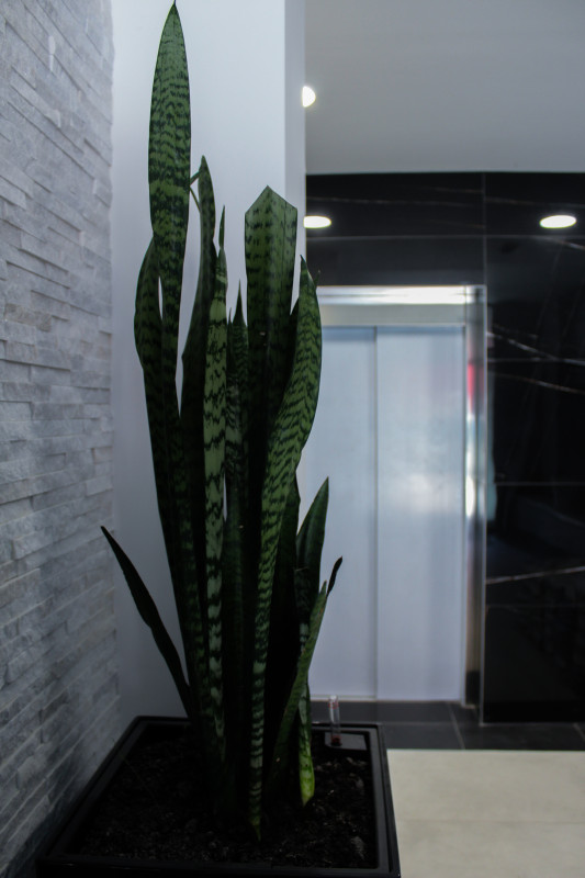 Novogradnja Dolac Malta  61.24m2 5