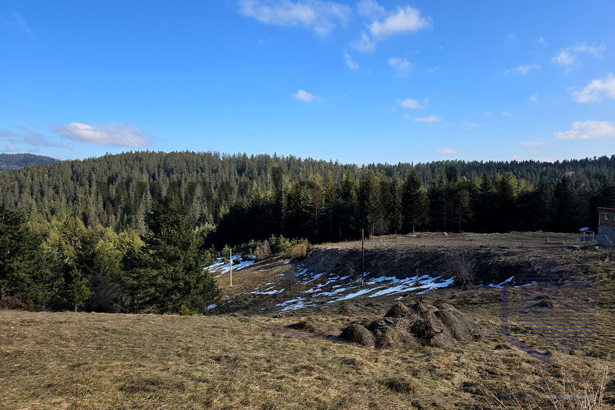 LOCUS: Prelijepa vikendica na parceli 4.000m2, Nišići pnk 17