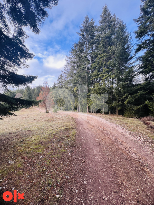 Kuća Šainovići, Pale 100m2 20