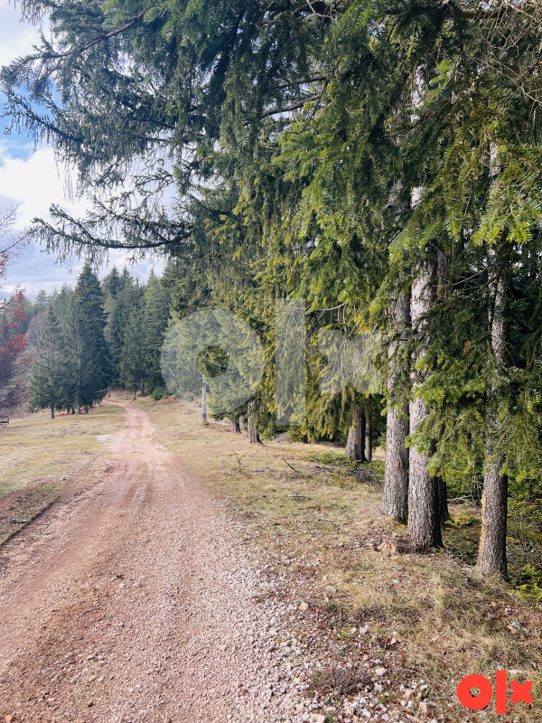 Kuća Šainovići, Pale 100m2 21