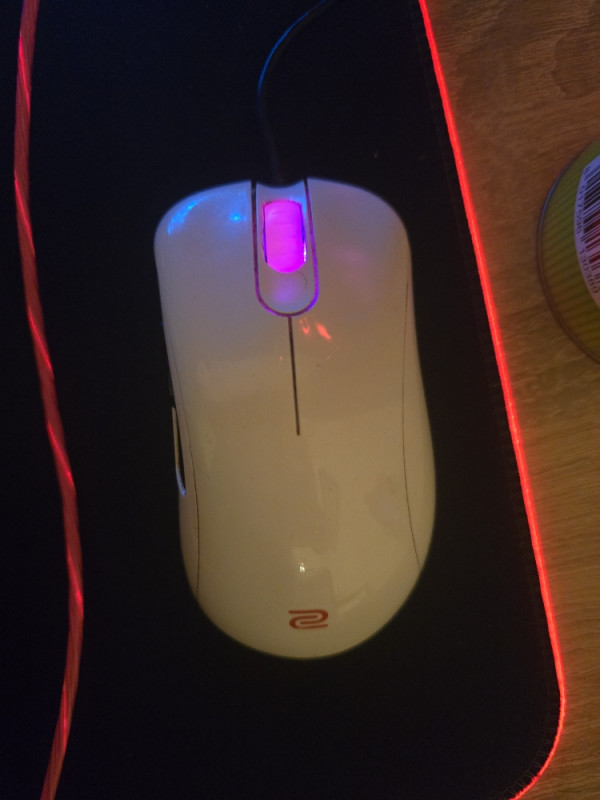 ZOWIE EC1 V2 Gaming miš