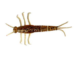 Varalica LB 3D PVC Mayfly Nymph 5cm