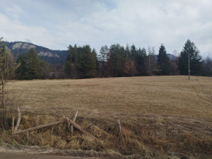 Kvart| Zemljište Pale - 10700 m2