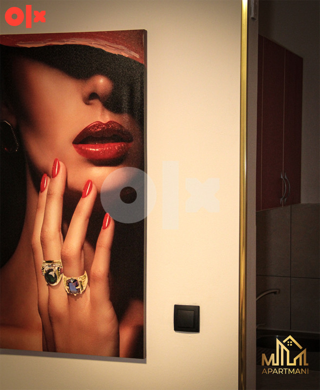 Stan na dan Bijeljina 9 "M APARTMANI" 066 872 160 9