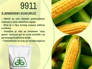 PIONEER 9911 - SJEME KUKURUZA