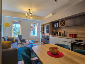Studio Apartman renoviran 34m2  JAHORINA photo 4