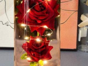 Vječna ruža idealan poklon za Valentinovo 8.mart Rođendan