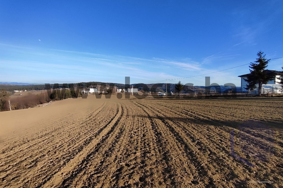 LOCUS prodaje: Zemljište površine 9.291m2, Nišići 3