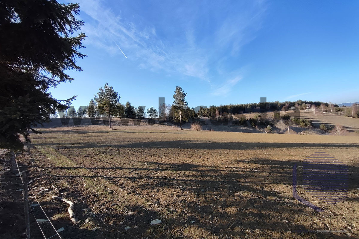 LOCUS prodaje: Zemljište površine 9.291m2, Nišići 5