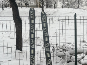 Elan, olympic skije 195cm