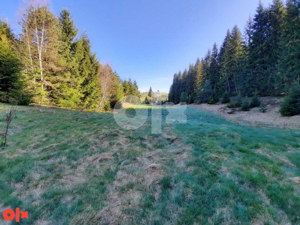 Zemljište Nišićka visoravan, Nišići, KO Bijambare (20.000m2) 3