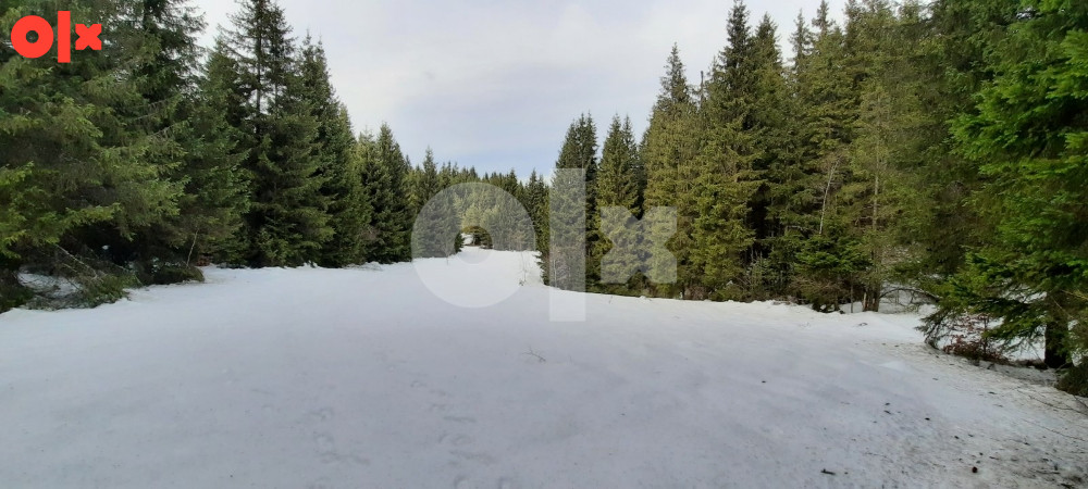 Zemljište Nišićka visoravan, Nišići, KO Bijambare (20.000m2) 6