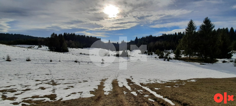 Zemljište Nišićka visoravan, Nišići, KO Bijambare (20.000m2) 4
