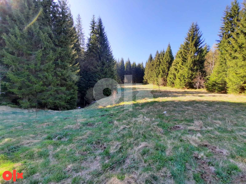 Zemljište Nišićka visoravan, Nišići, KO Bijambare (20.000m2) 9