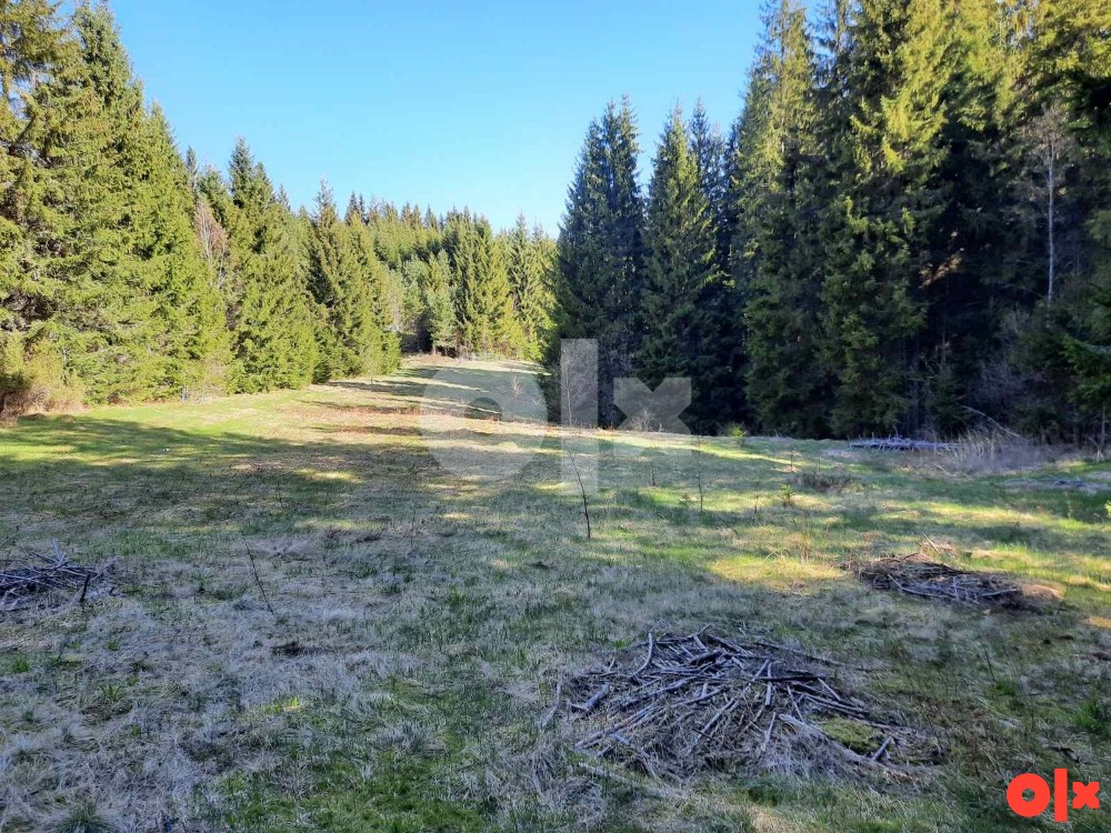 Zemljište Nišićka visoravan, Nišići, KO Bijambare (20.000m2) 5