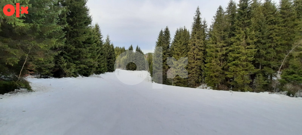Zemljište Nišićka visoravan, Nišići, KO Bijambare (20.000m2) 7