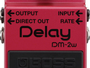 Boss DM-2W Waza Craft Analog Delay