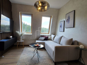 Apartman Ravna planina 35m2 pogled na stazu