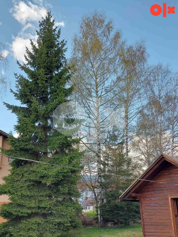 Zemljište Pale, Centar 1794m2 3