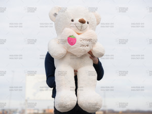 Medo / Plisani medo 110 cm / Medvjed / Mede