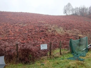 Zemljište Glamočani Laktaši