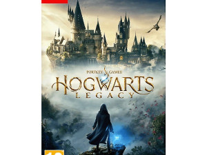 Igra za Nintendo Switch: Hogwarts Legacy