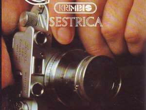 Raymond Chandler - Sestrica