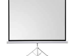 Everest TPP-240 240x200cm Platno za projektor sa postoljem