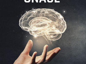 Ključ mentalne snage, pisac: Nil Nidli dr.