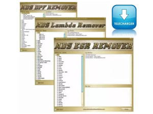 DPF EGR IMMO LAMBDA 2017 DTC OFF
