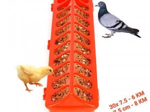 Hranilica za piliće