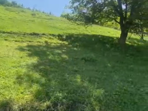 Kuća,zemlja,Tumulus, Visoko Vratnica photo 4