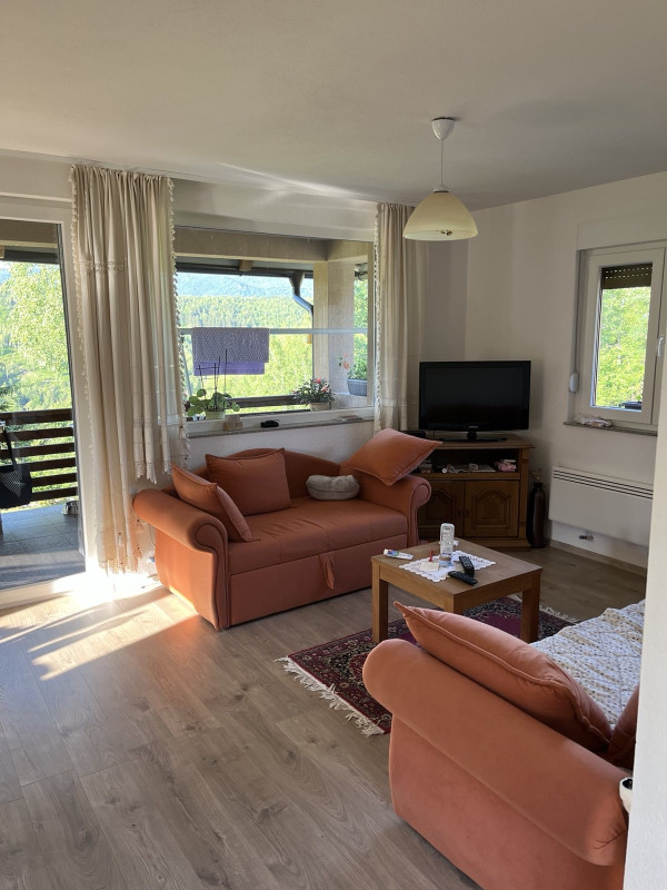 Vikendica sa zemljištem - Trnovo - Brutusi - 6975m2 7