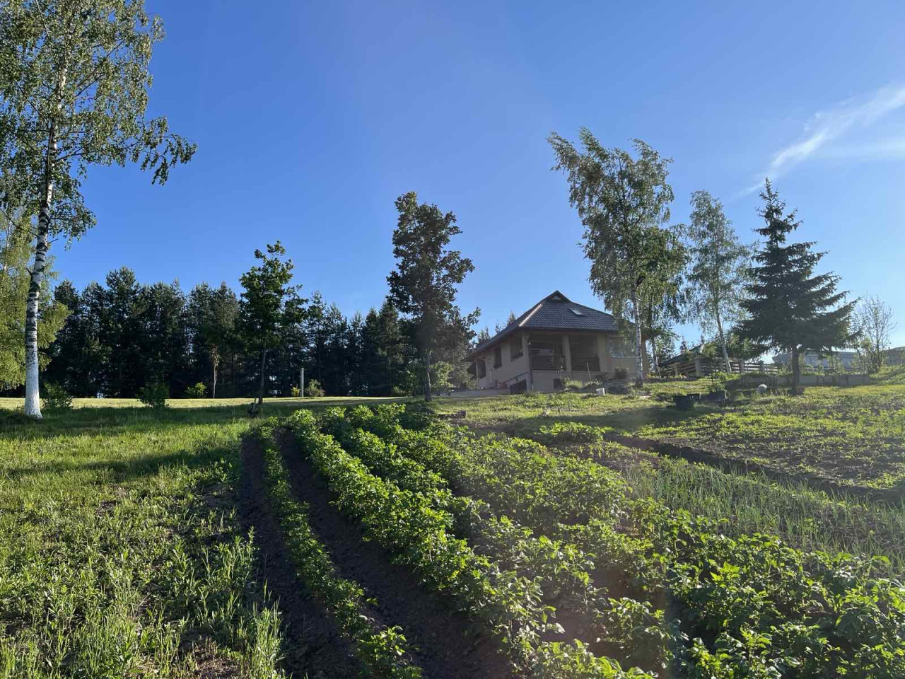 Vikendica sa zemljištem - Trnovo - Brutusi - 6975m2 10