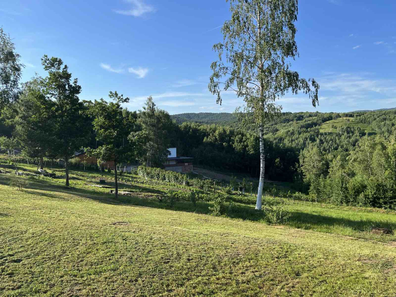 Vikendica sa zemljištem - Trnovo - Brutusi - 6975m2 12