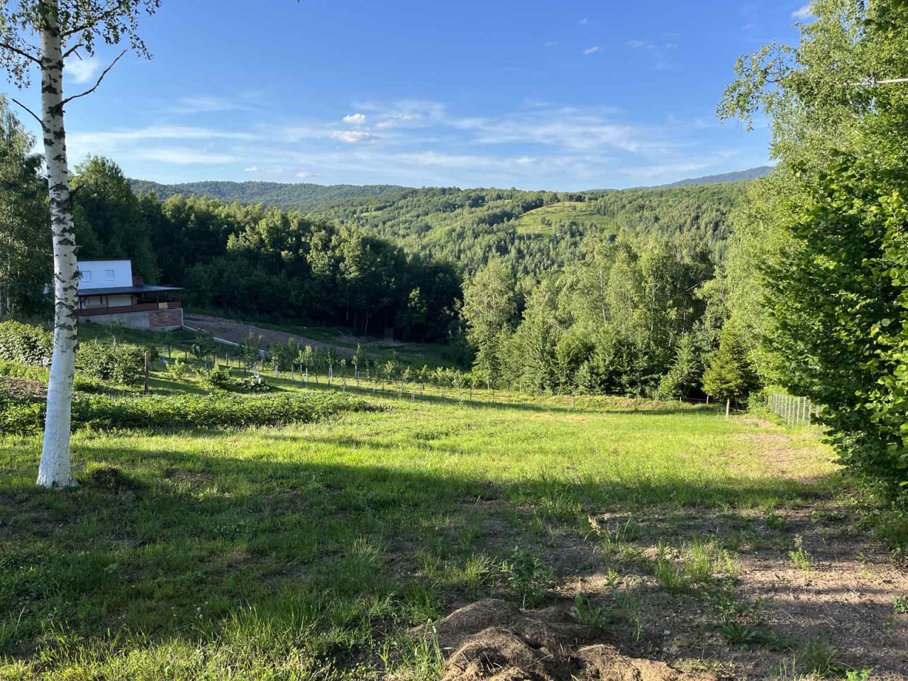 Vikendica sa zemljištem - Trnovo - Brutusi - 6975m2 15
