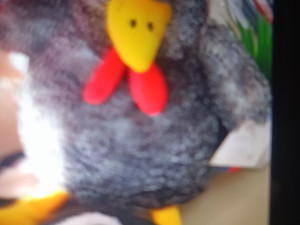 Koka plišanac, plisanci, igracke