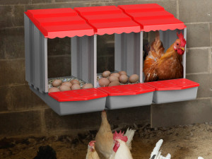 Gnijezdo za koke nesilice 3/1