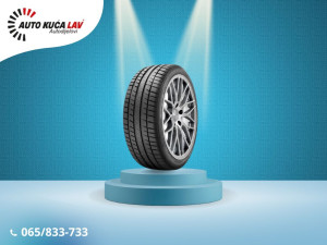 RIKEN 205/55R16 20555R16 2055516 LJETNA