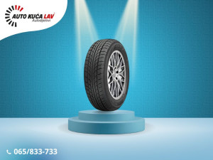 RIKEN 175/65R14 17565R14 1756514 LJETNA