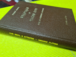 Vidovdan i časni krst - Miodrag Popović