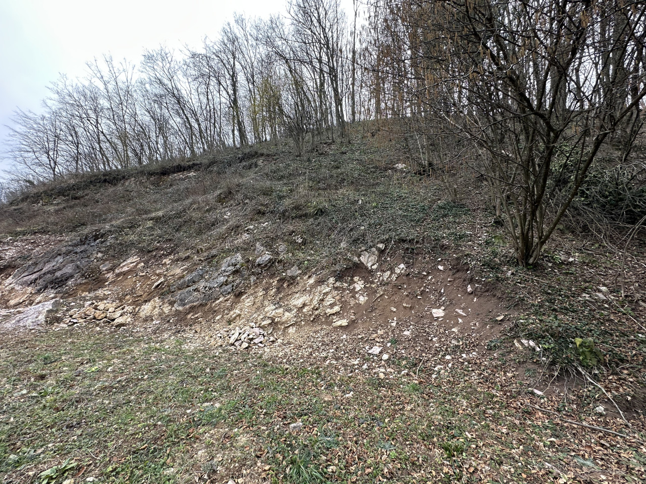 Zemljište pored magistralnog puta - 2531 m2 25