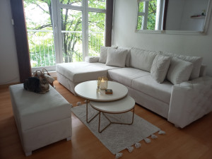 Prodaja Centar Visnjik