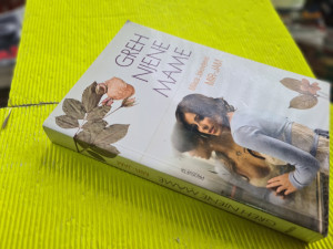 GREH NJENE MAME - Milica Jakovljević Mir-Jam