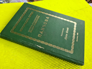 Istorijska skica Pančova - Luka Ilić