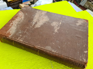 Karl Salkovski,  Institucije 1894